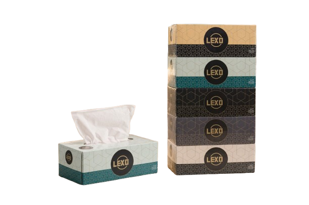 Soft Facial Tissue 170 × 2 Ply – Assorted 5 Colour Collection