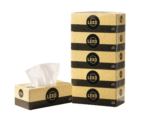 Soft Facial Tissue 170 × 2 Ply – Beige Multipack